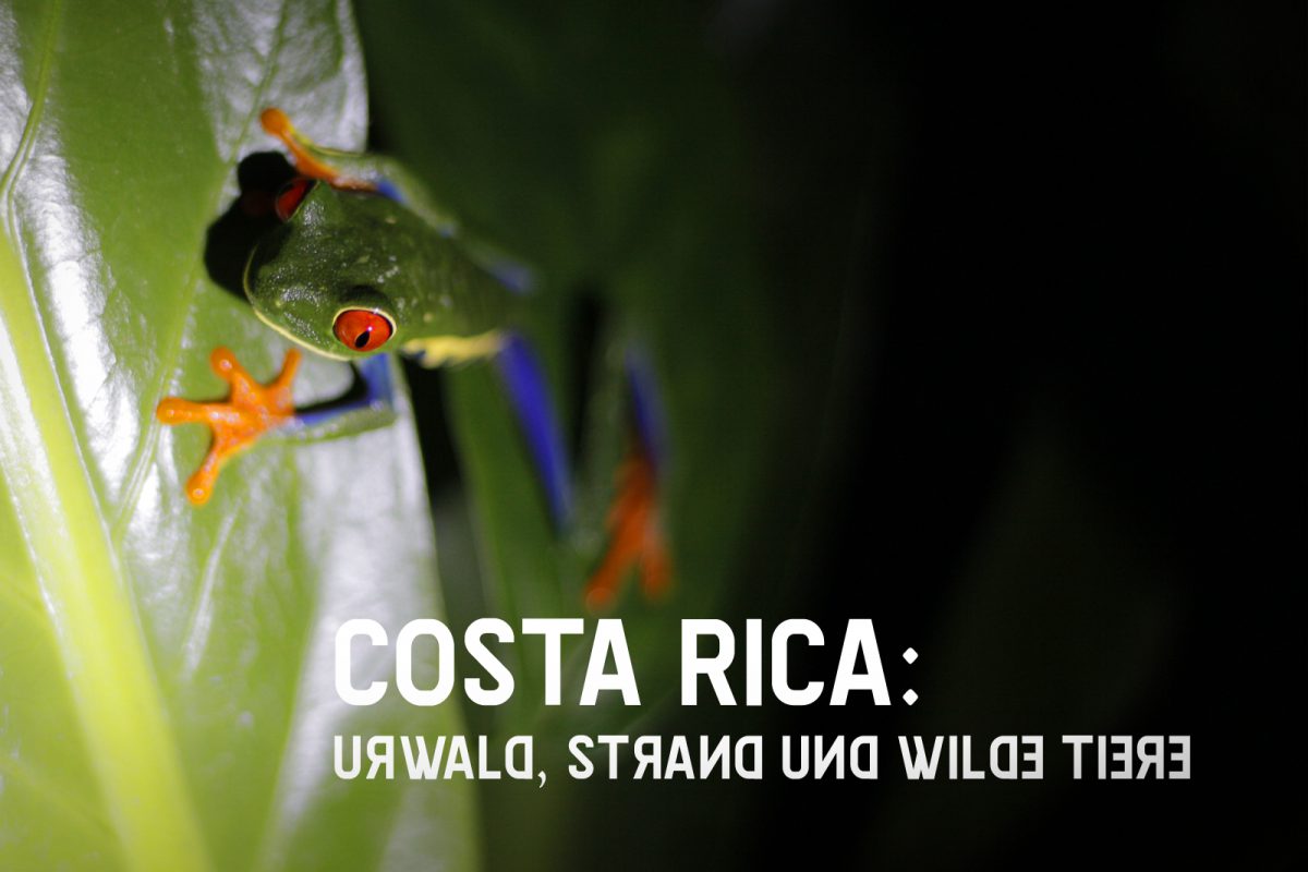 Costa Rica: Urwald, Strand und wilde Tiere